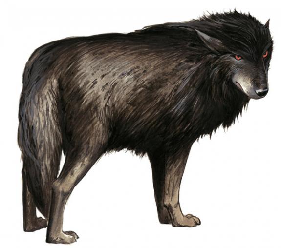 Bruno Brucero - Le livre secret de Merlin, loup