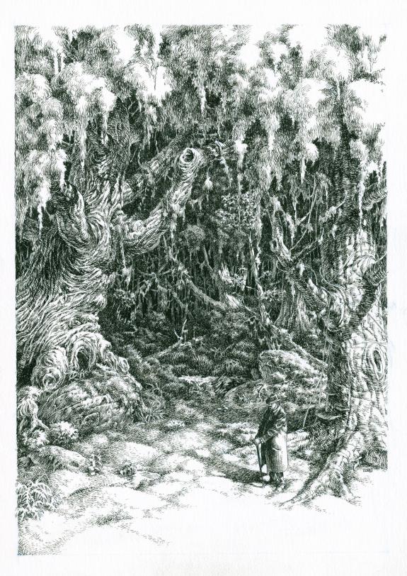 Etienne Leroux - Le Grimoire du petit peuple, Illustration d