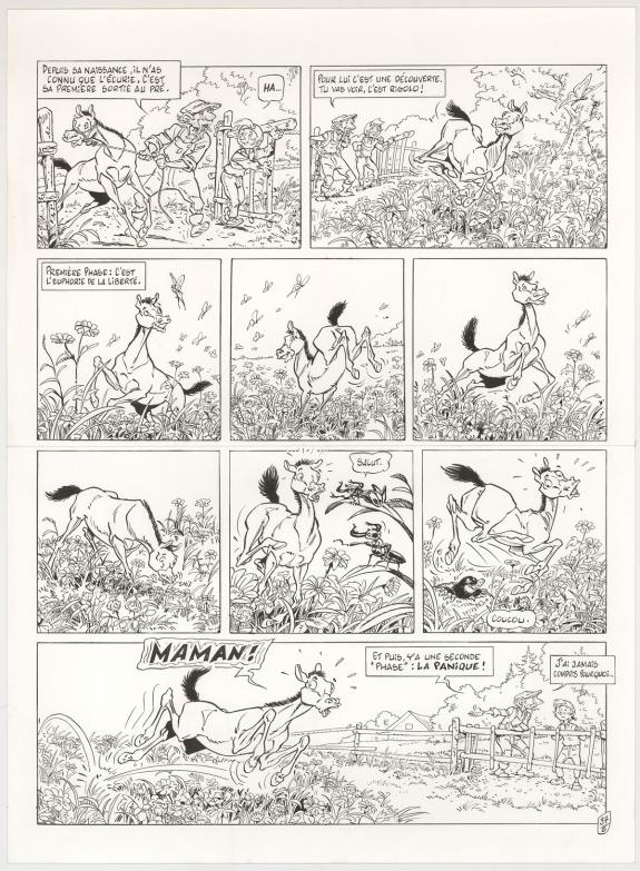 Benoit Du Peloux - Triple galop, Tome 6, Planche originale 