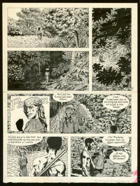 Claude Auclair - Le Sang du flamboyant, Planche originale n°