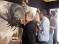 Graffet Delval Yoz - peinture réalisée par les 3 artistes, J