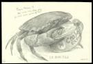  Armel Gaulme Bestiary Sketchbook #1 - Crayonn original : Le bon fils 